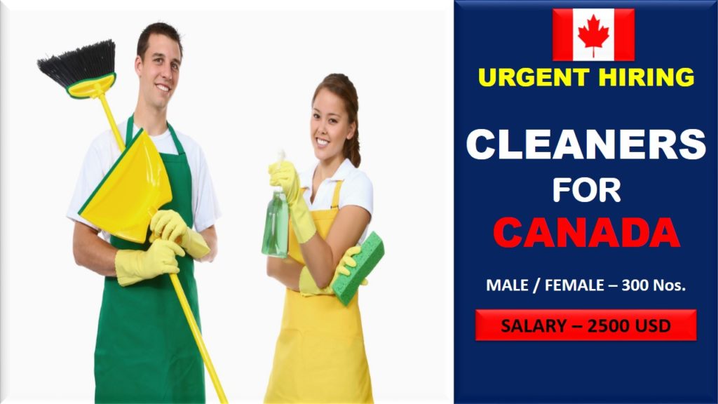 Weekend cleaner jobs loughton essex