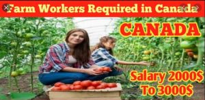 Farm Workers Jobs In Canada